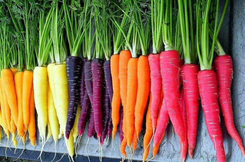 Khi mua cà rốt nên chọn những củ có màu vàng sẫm, màu càng đậm chứng tỏ hàm lượng caroten và vitamin C càng cao